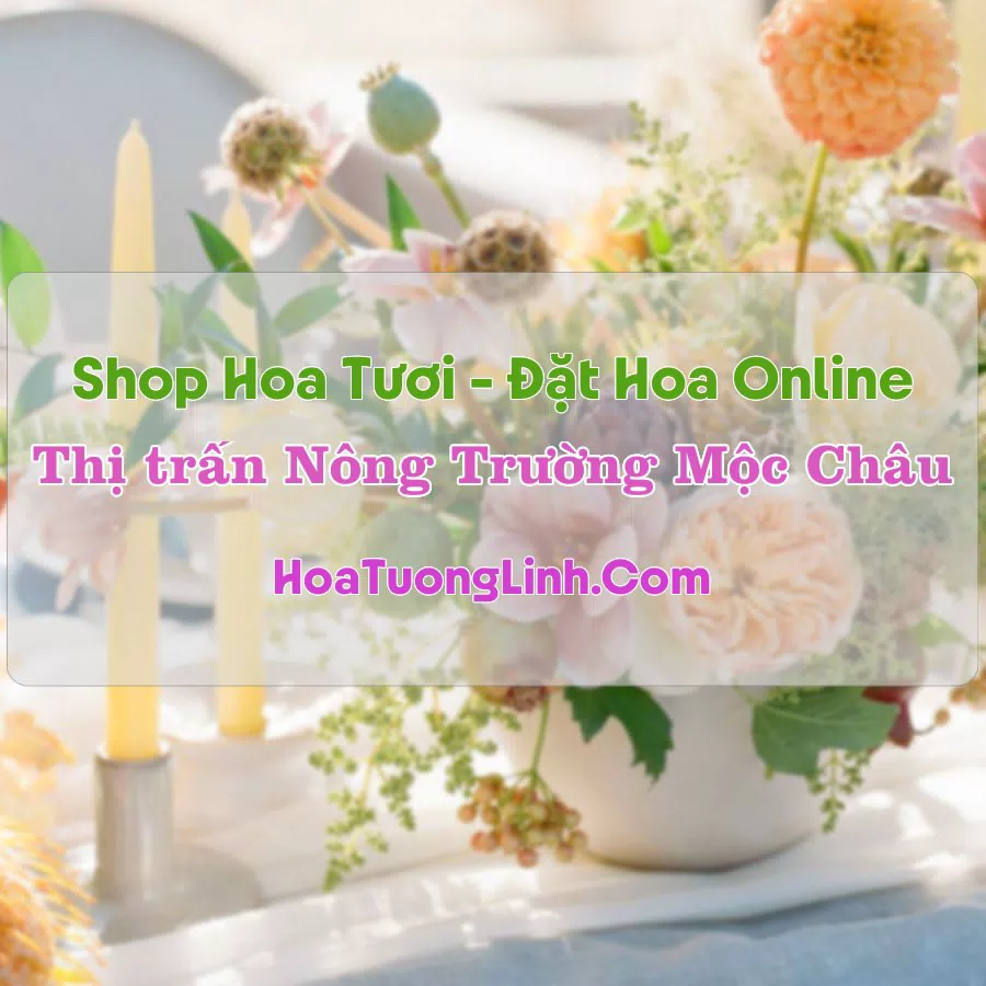 Shop Hoa Tươi Thị Trấn Nông Trường Mộc Châu – Sơn La