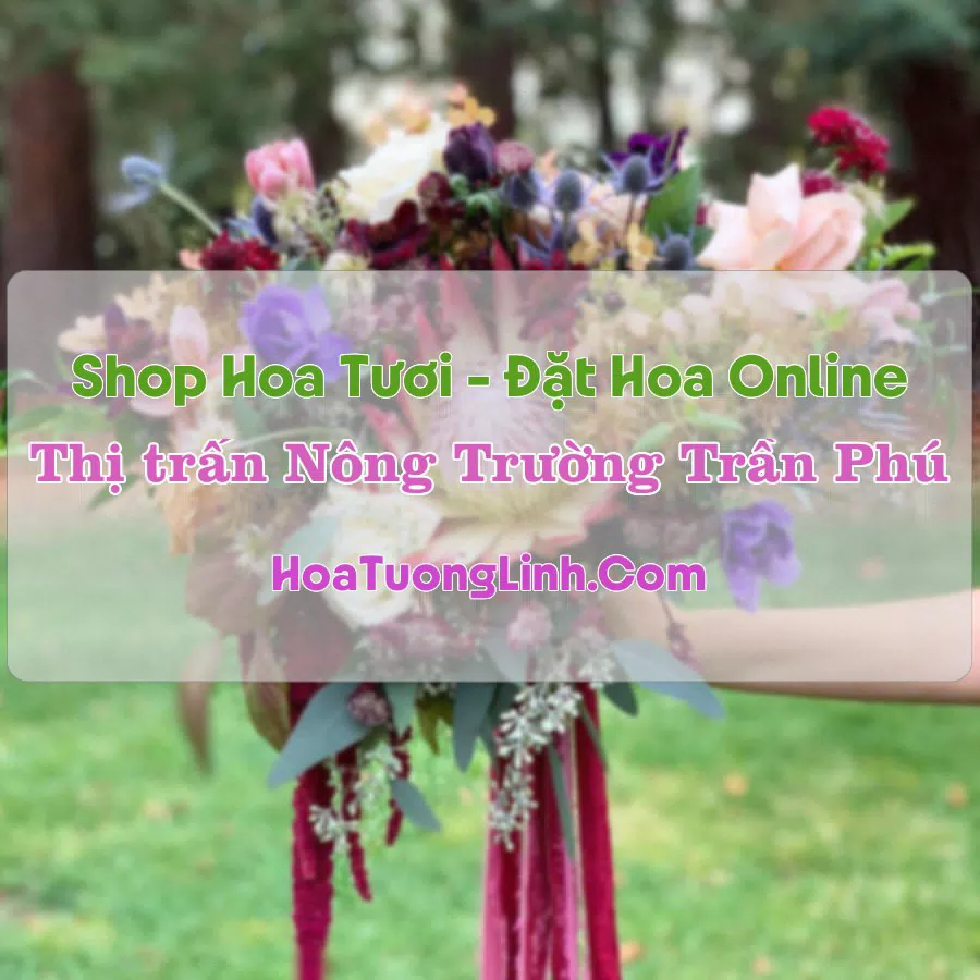 Shop Hoa Tươi Thị Trấn Nông Trường Trần Phú – Yên Bái