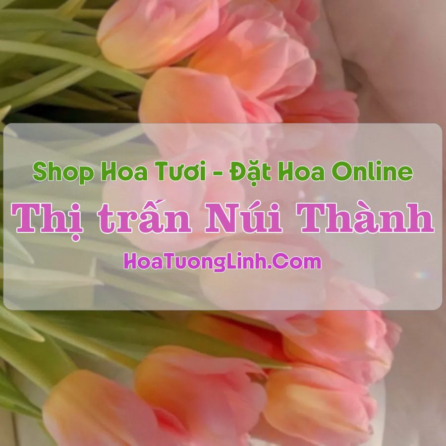 Shop Hoa Tươi Thị trấn Núi Thành – Quảng Nam