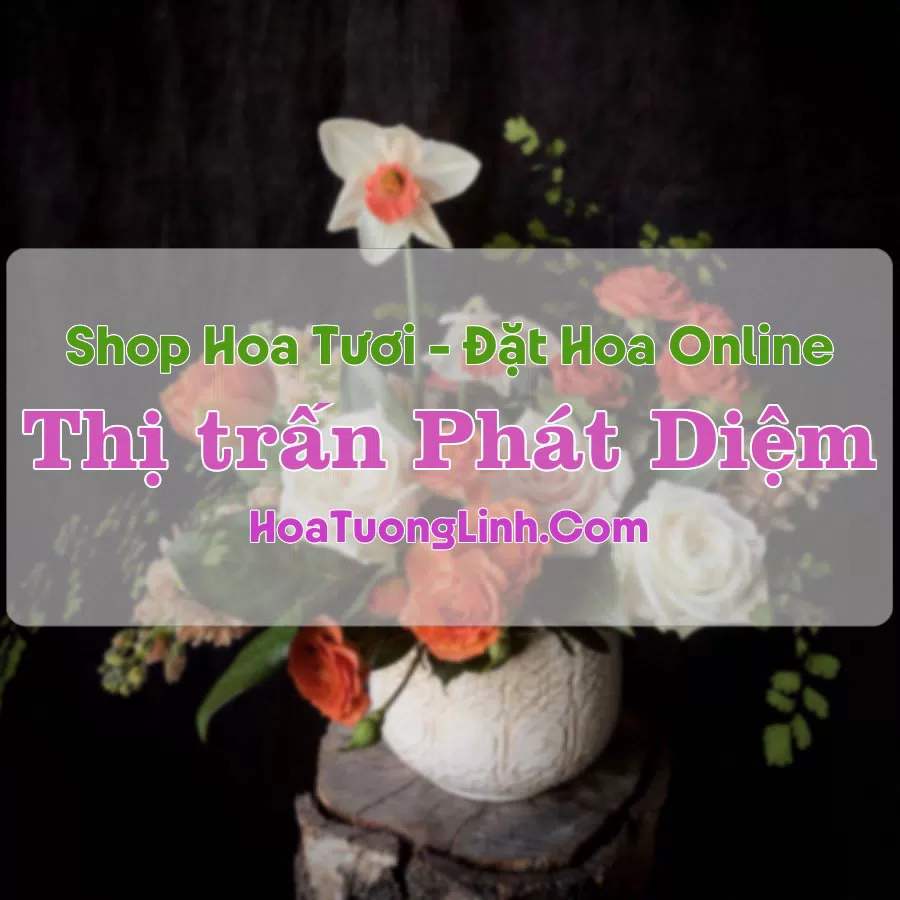 Shop Hoa Tươi Thị Trấn Phát Diệm – Ninh Bình