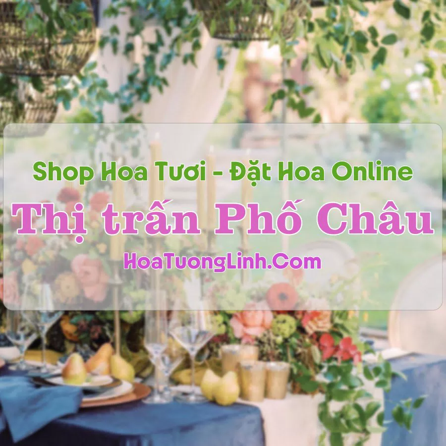 Shop Hoa Tươi TT Phố Châu – Hà Tĩnh