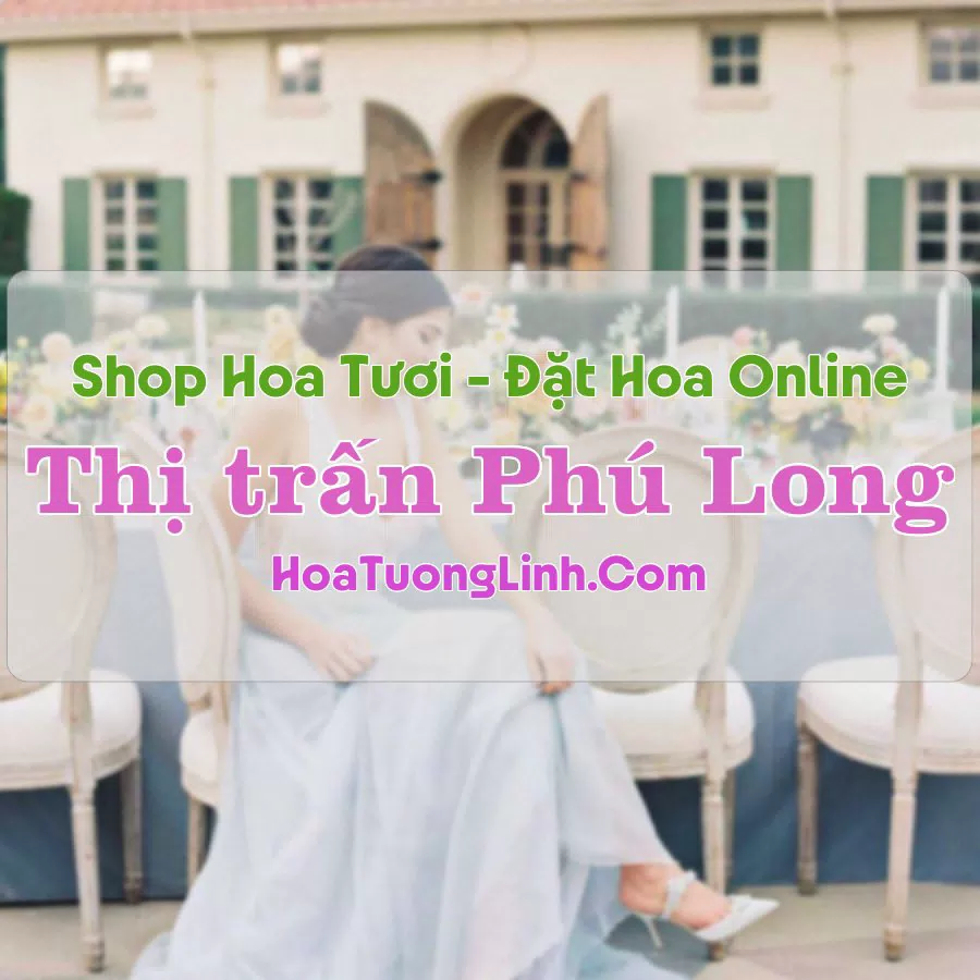 Shop Hoa Tươi Thị trấn Phú Long – Bình Thuận