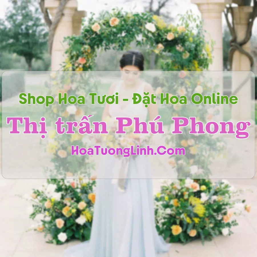 Shop Hoa Tươi Thị trấn Phú Phong – Bình Định