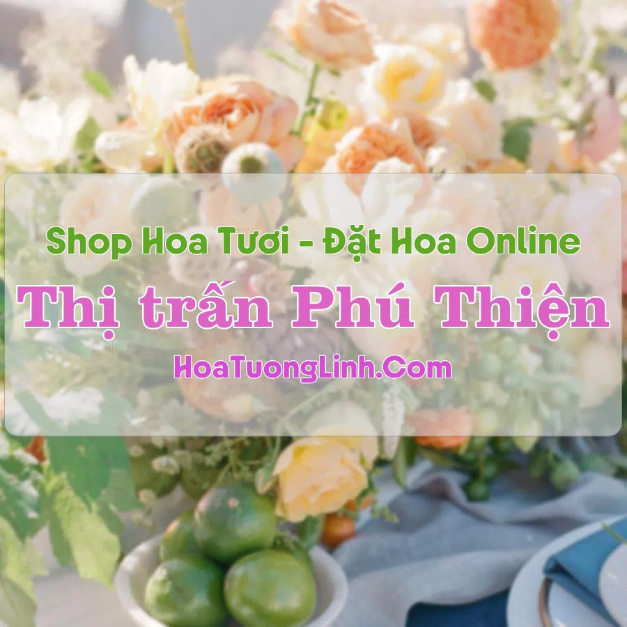 Shop Hoa Tươi Thị Trấn Phú Thiện – Gia Lai