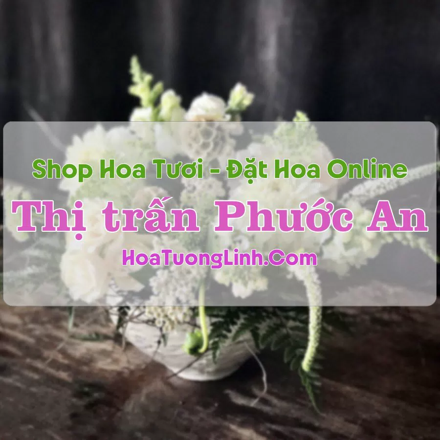 Shop Hoa Tươi Thị trấn Phước An – Đắk Lắk