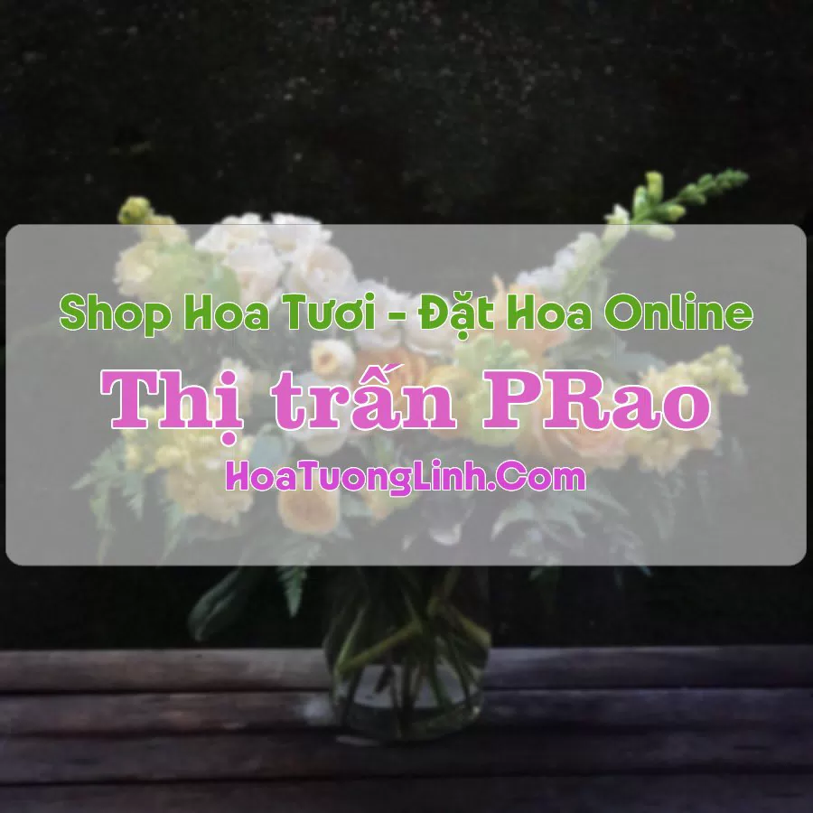 Shop Hoa Tươi Thị Trấn PRao – Quảng Nam