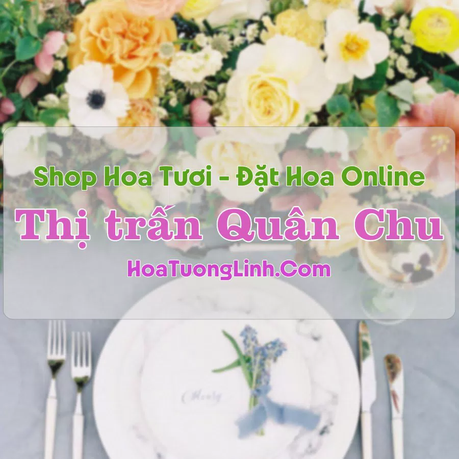 Shop Hoa Tươi Thị Trấn Quân Chu – Thái Nguyên