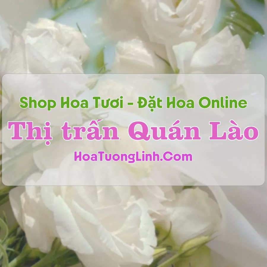 Shop Hoa Tươi Thị Trấn Quán Lào - Thanh Hóa