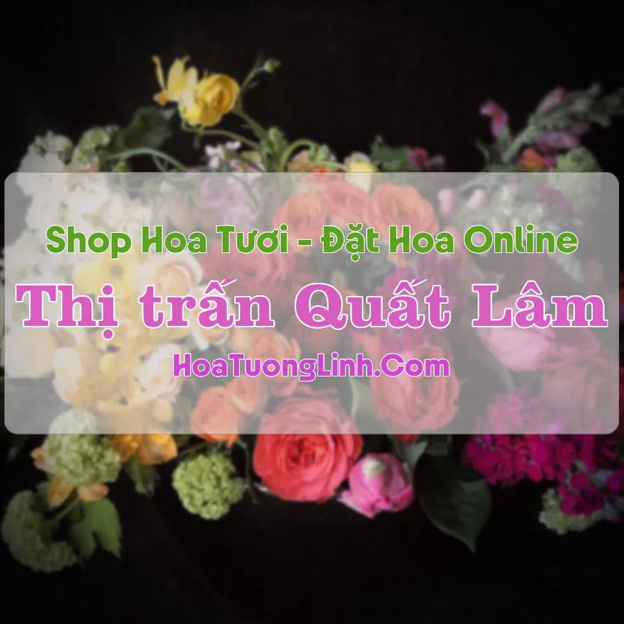 Shop Hoa Tươi Thị Trấn Quất Lâm – Nam Định