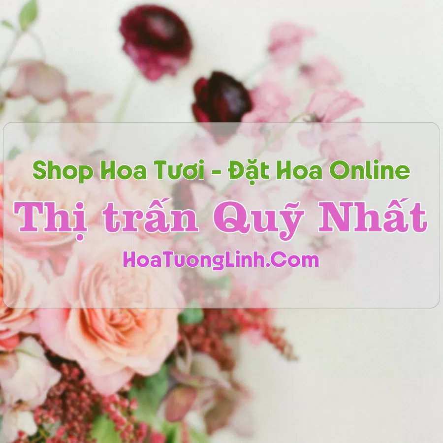 Shop Hoa Tươi Thị Trấn Quỹ Nhất – Nam Định