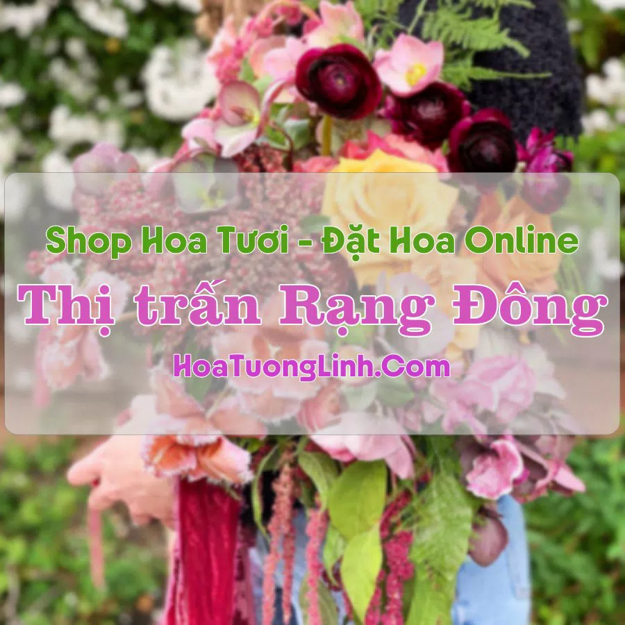Shop Hoa Tươi Thị Trấn Rạng Đông – Nam Định
