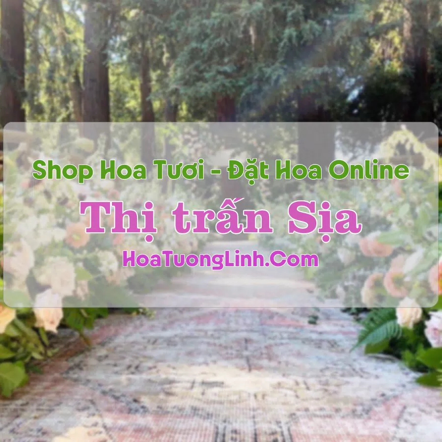 Shop Hoa Tươi Thị trấn Sịa – Huế