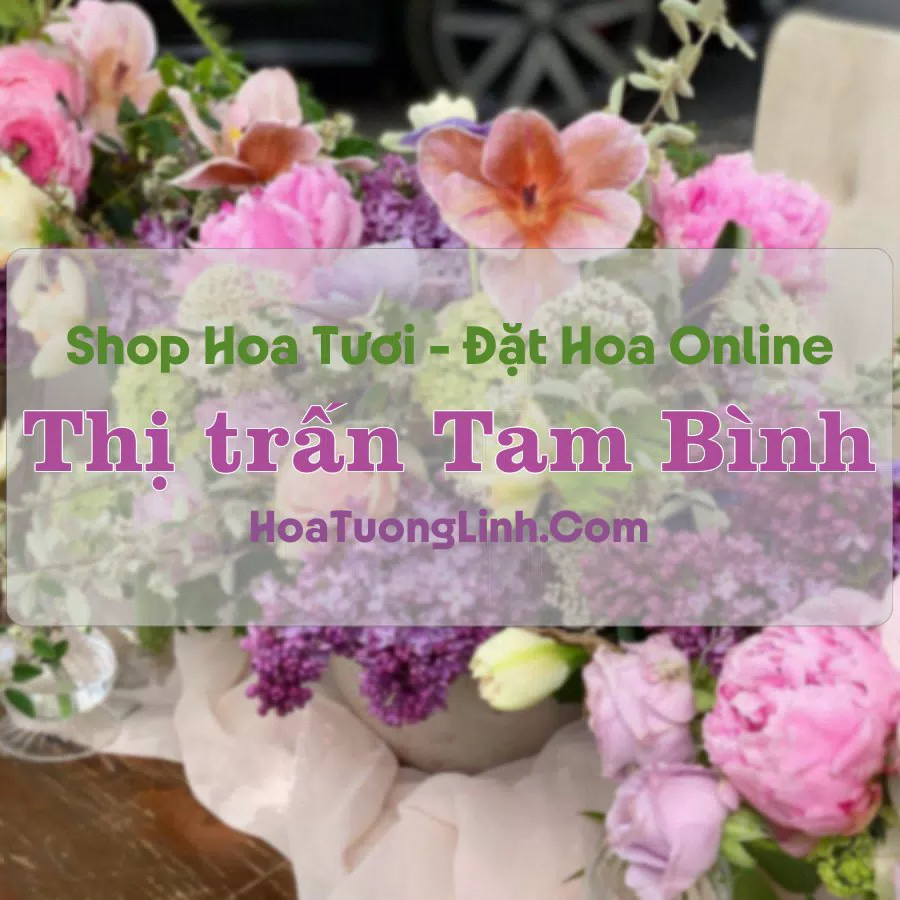 Shop Hoa Tươi Thị Trấn Tam Bình – Vĩnh Long