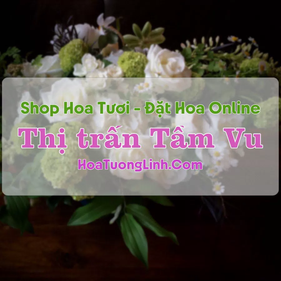 Shop Hoa Tươi Thị Trấn Tầm Vu – Long An