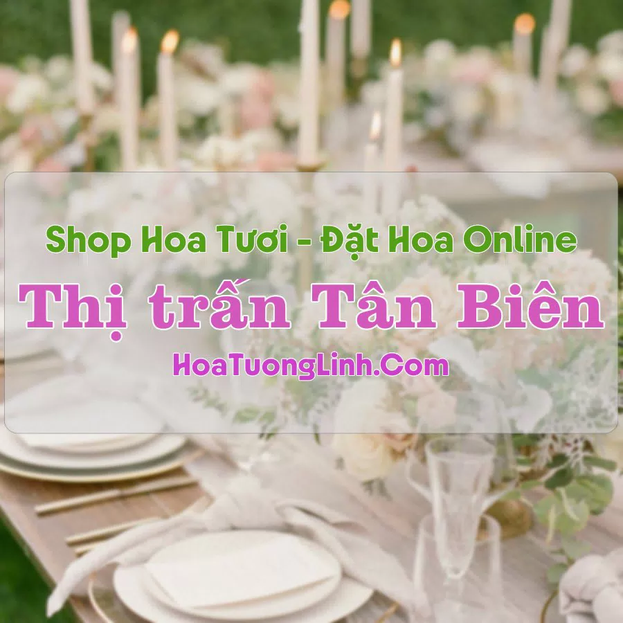 Shop Hoa Tươi Thị trấn Tân Biên – Tây Ninh