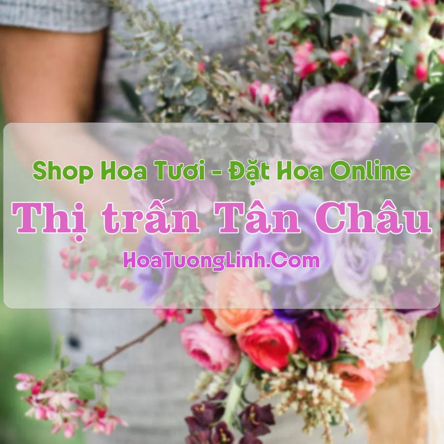 Shop Hoa Tươi Thị trấn Tân Châu – Tây Ninh