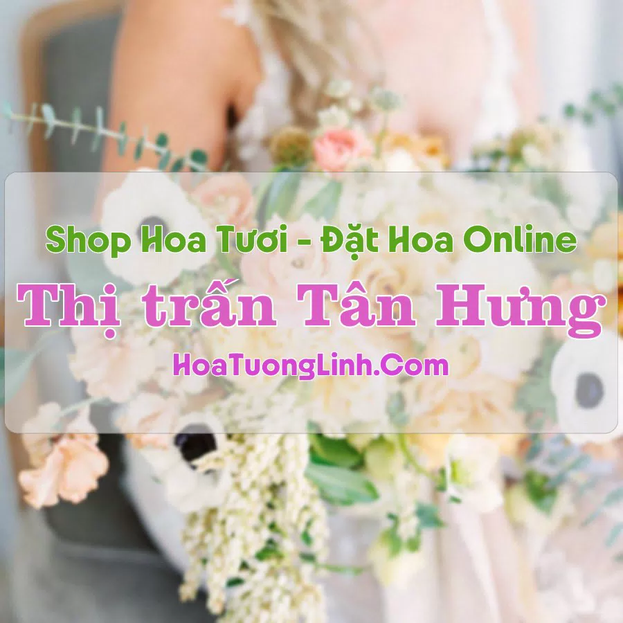 Shop Hoa Tươi Thị Trấn Tân Hưng – Long An