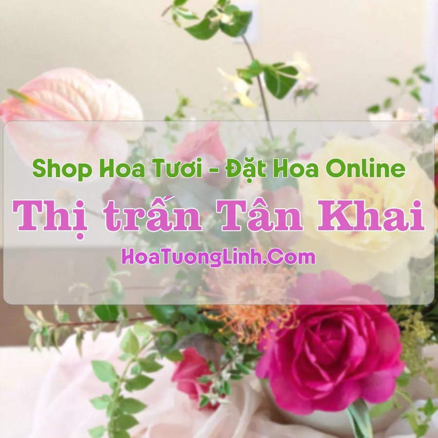 Shop Hoa Tươi Thị trấn Tân Khai – Bình Phước