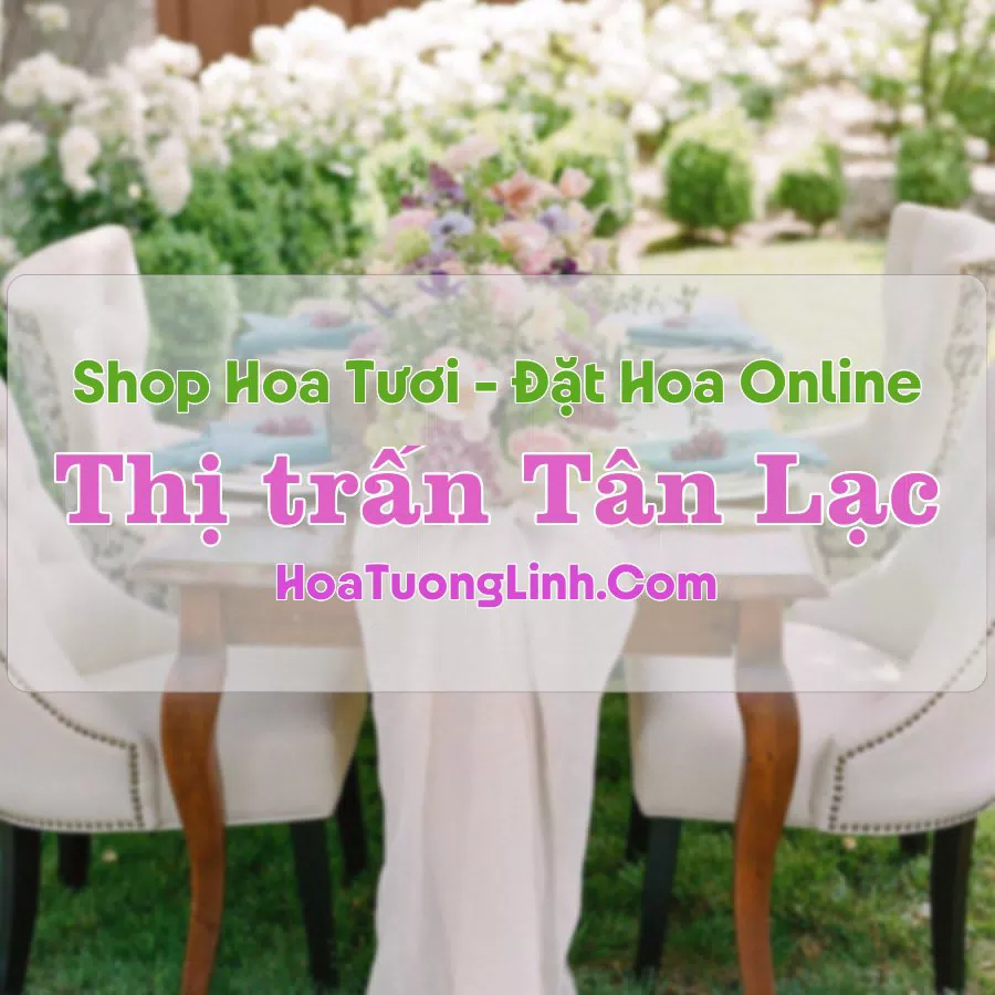 Shop Hoa Tươi Thị Trấn Tân Lạc – Nghệ An