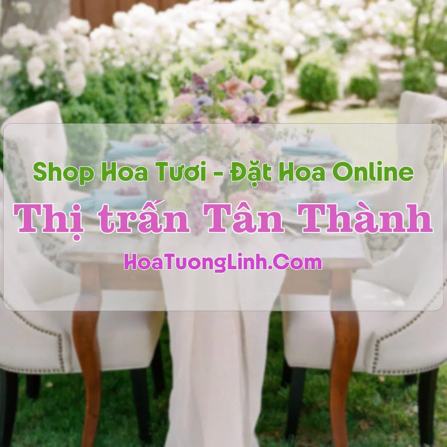Shop Hoa Tươi Thị Trấn Tân Thành – Bình Dương