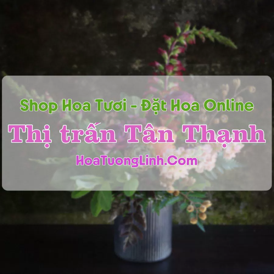 Shop Hoa Tươi Thị trấn Tân Thạnh – Long An