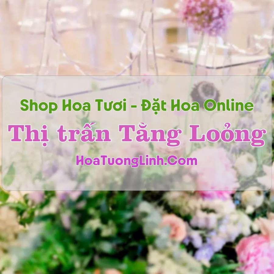 Shop Hoa Tươi Thị Trấn Tằng Loỏng – Bảo Thắng, Lào Cai