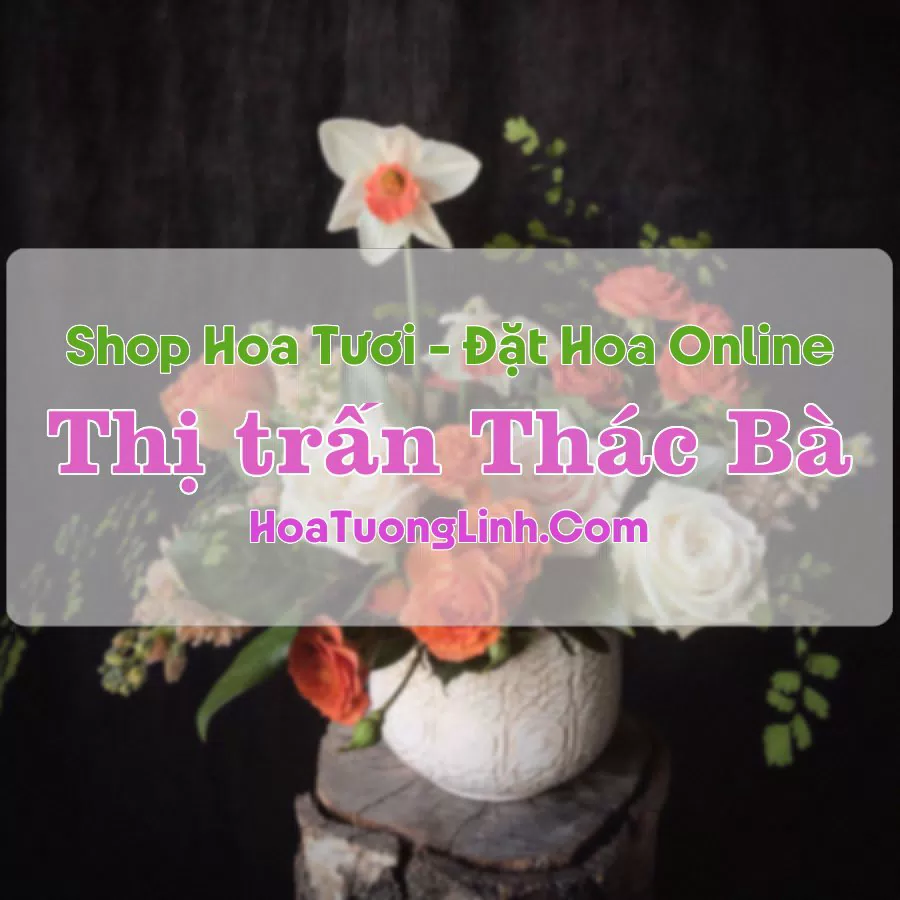 Shop Hoa Tươi Thị Trấn Thác Bà – Yên Bái