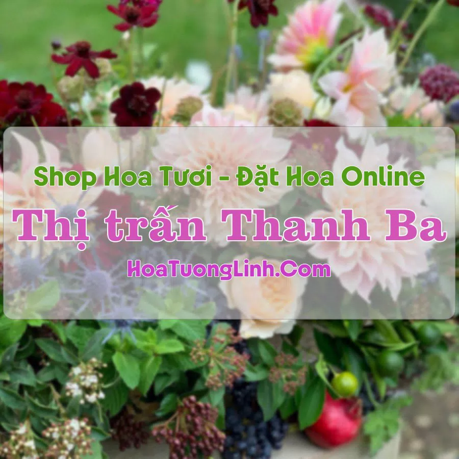 Shop Hoa Tươi Thị Trấn Thanh Ba – Phú Thọ