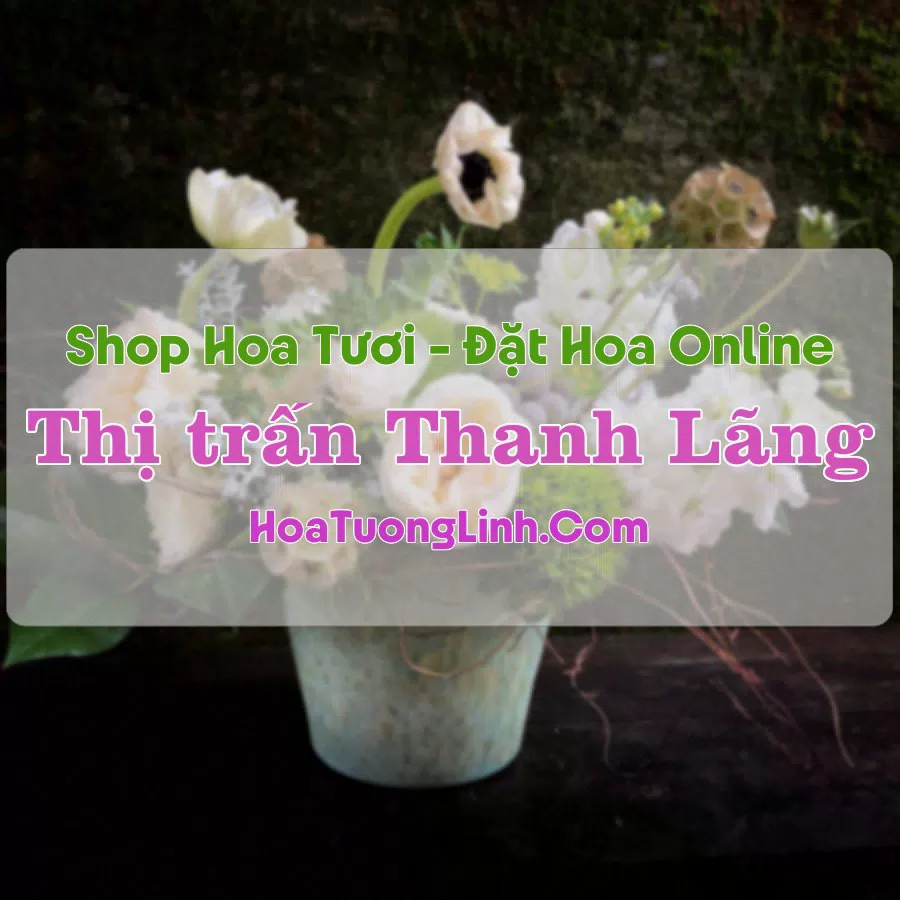Shop Hoa Tươi Thị Trấn Thanh Lãng – Vĩnh Phúc