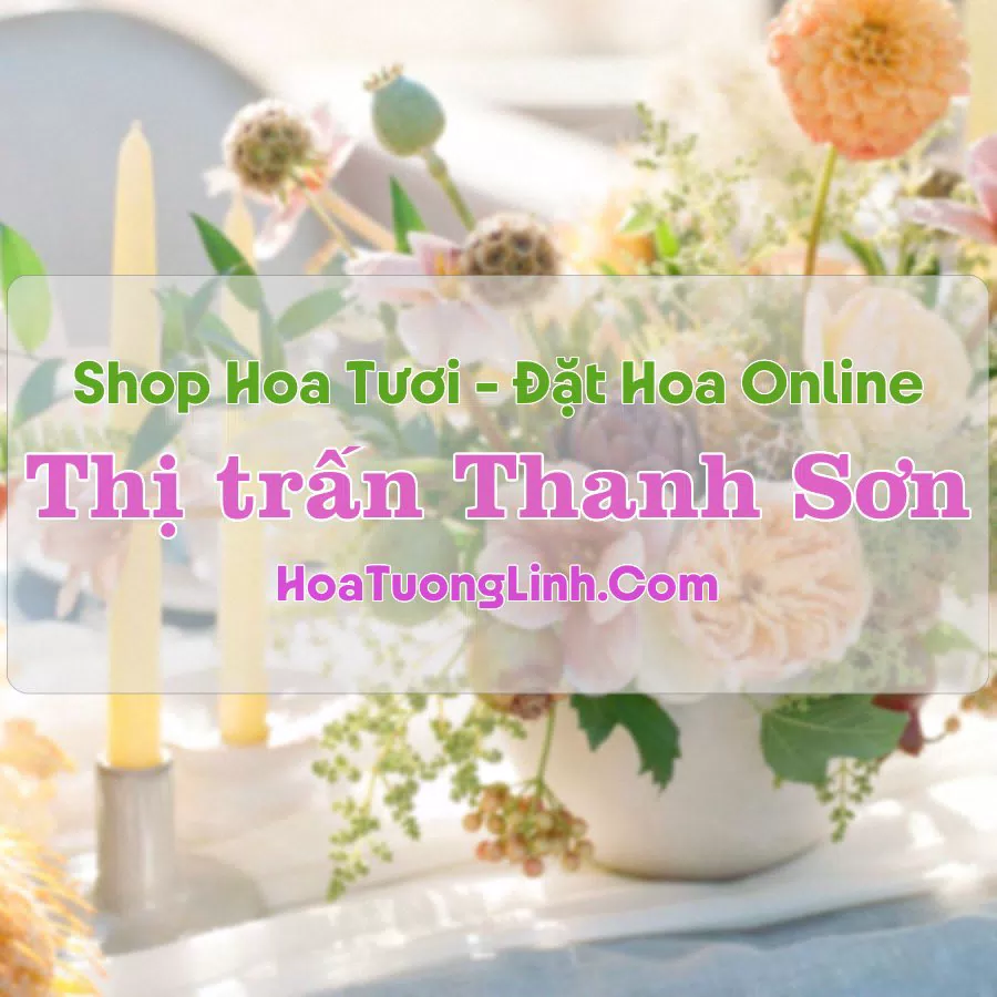 Shop Hoa Tươi Thị Trấn Thanh Sơn – Phú Thọ