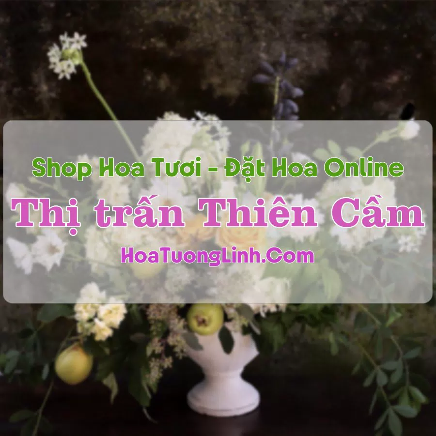 Shop Hoa Tươi Thị trấn Thiên Cầm – Hà Tĩnh