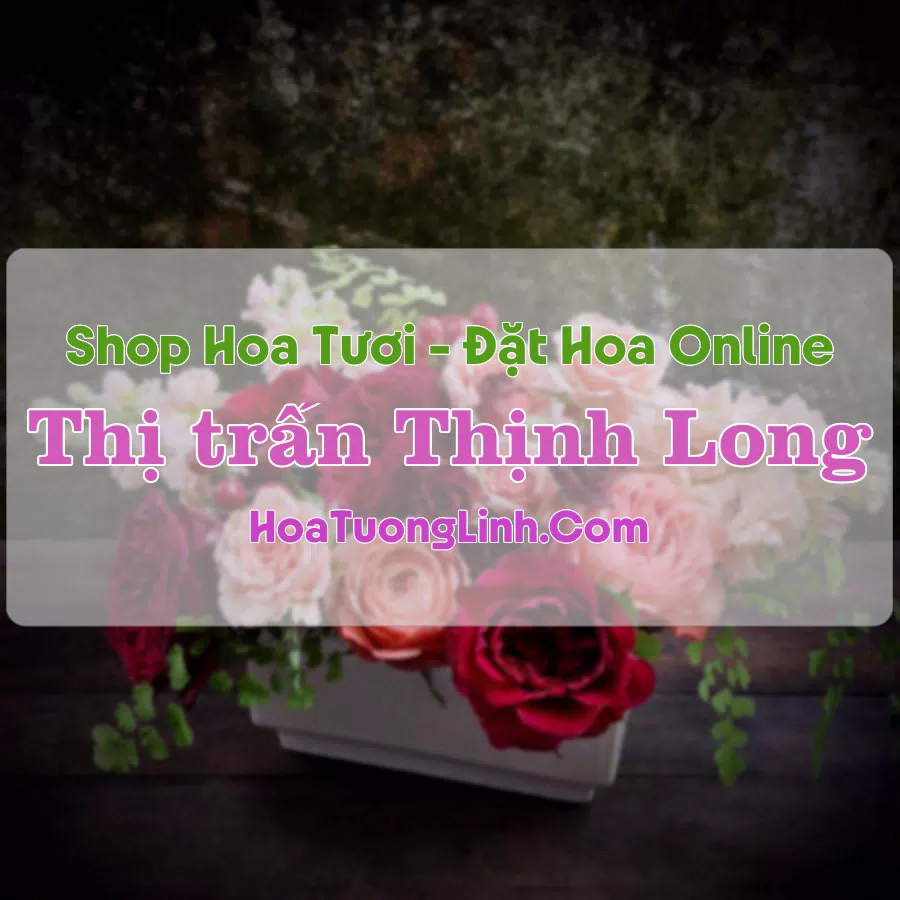 Shop Hoa Tươi Thị Trấn Thịnh Long – Nam Định