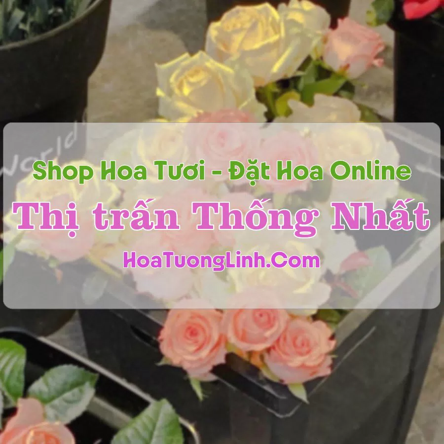 Shop Hoa Tươi Thị Trấn Thống Nhất – Thanh Hóa