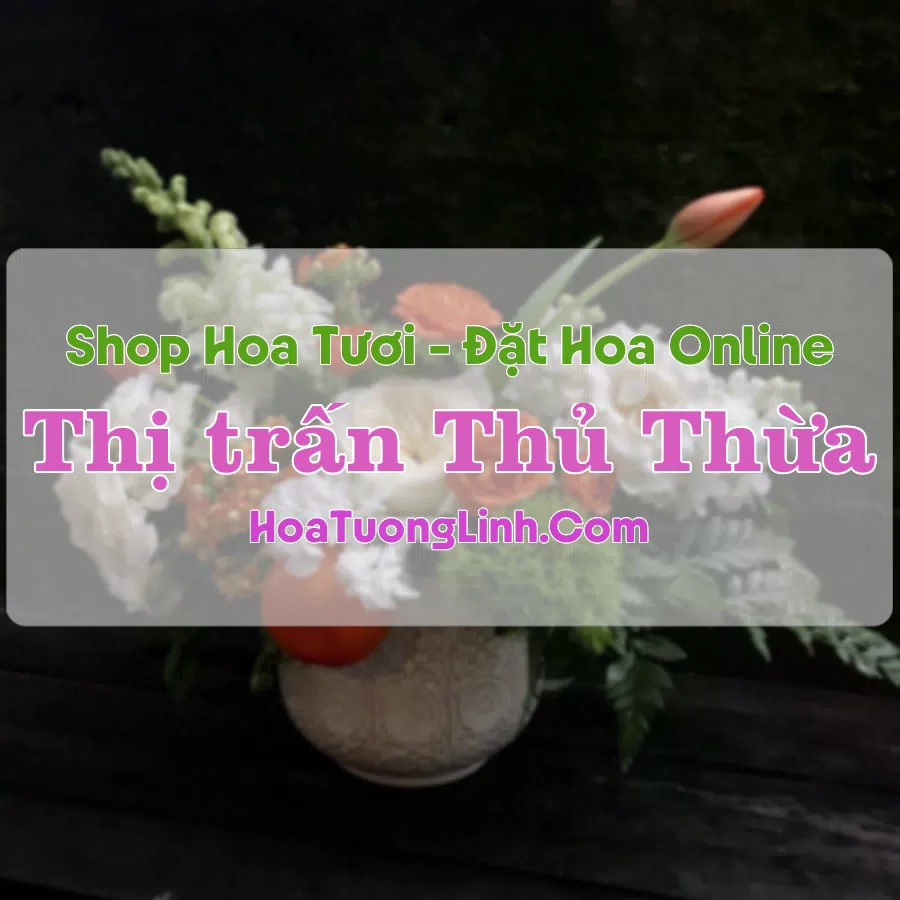 Shop Hoa Tươi Thị trấn Thủ Thừa – Long An