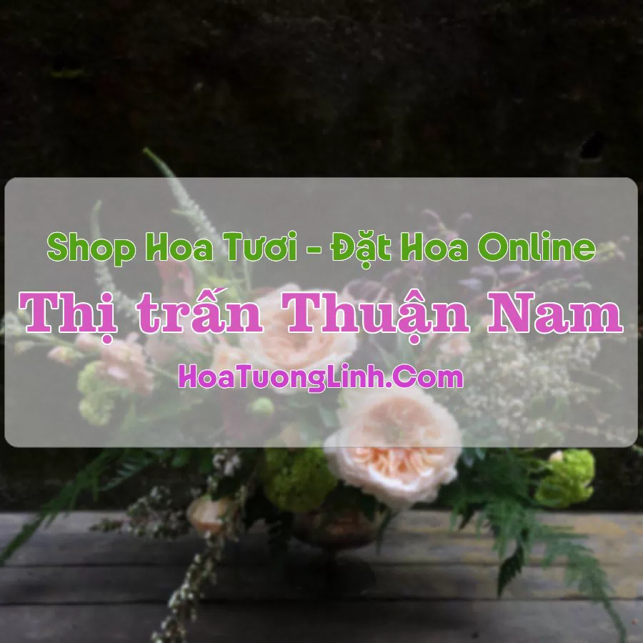 Shop Hoa Tươi Thị trấn Thuận Nam – Bình Thuận