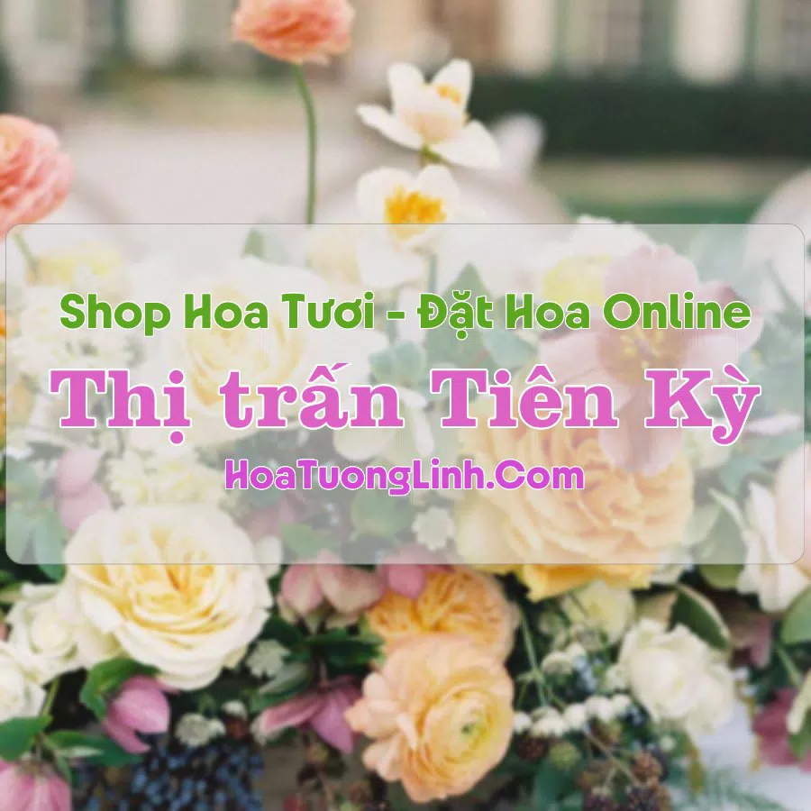 Shop Hoa Tươi Thị trấn Tiên Kỳ – Quảng Nam
