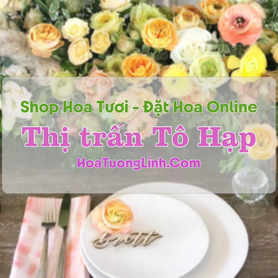 Shop Hoa Tươi Thị trấn Tô Hạp – Khánh Hòa