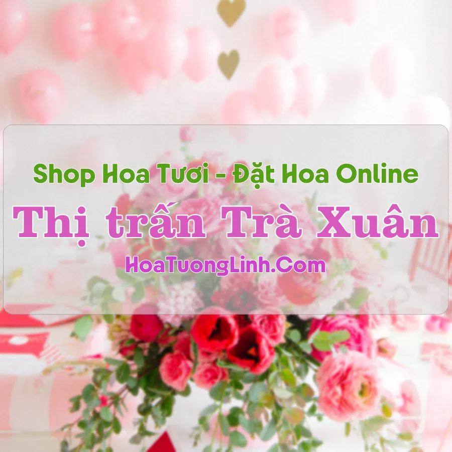 Shop Hoa Tươi Thị trấn Trà Xuân – Quảng Ngãi