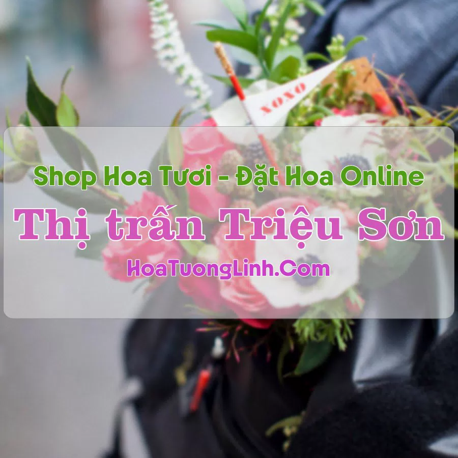 Shop Hoa Tươi Thị Trấn Triệu Sơn – Thanh Hóa