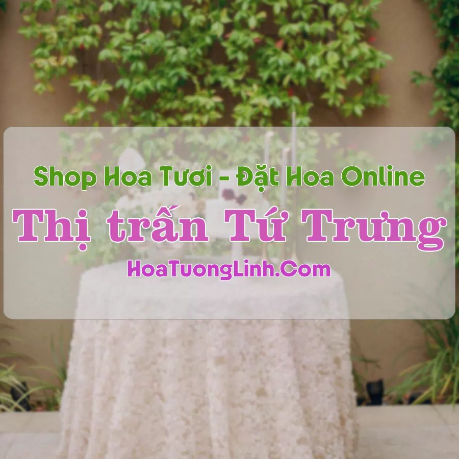 Shop Hoa Tươi Thị Trấn Tứ Trưng – Vĩnh Tường, Vĩnh Phúc