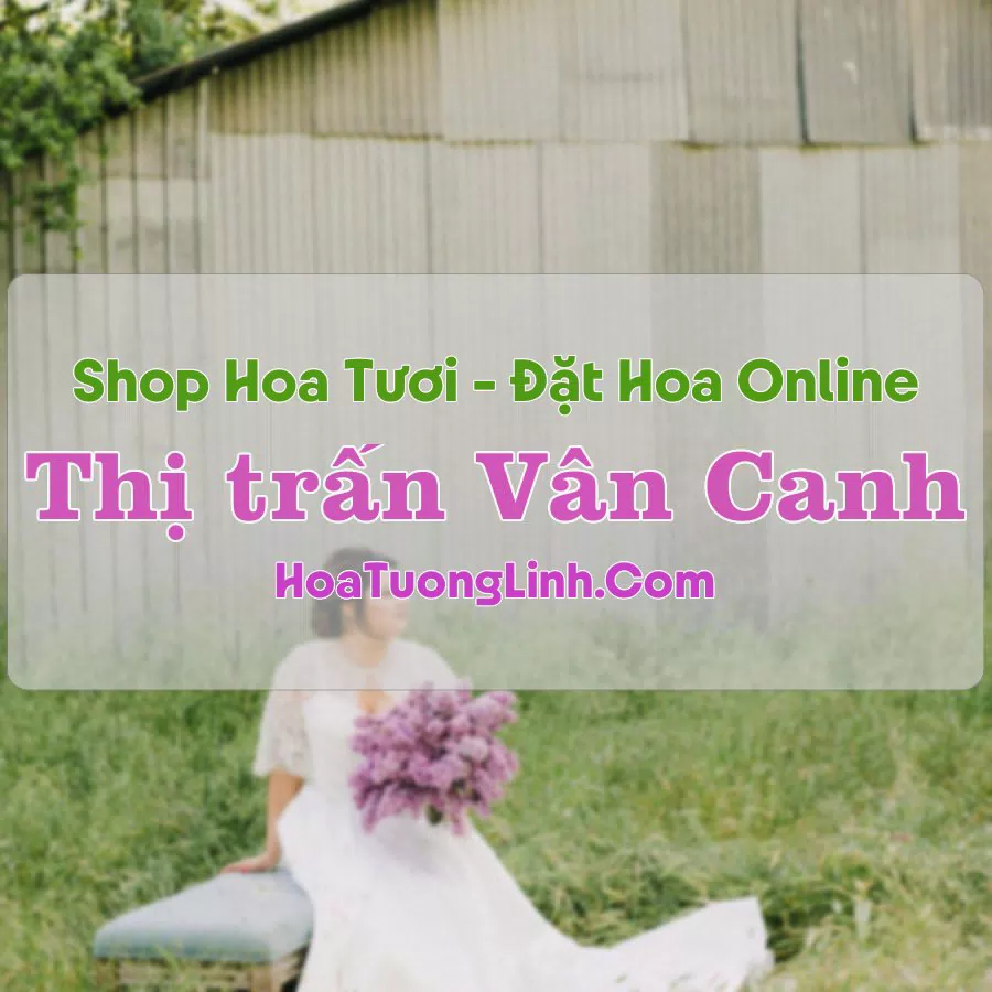 Shop Hoa Tươi Thị trấn Vân Canh – Bình Định