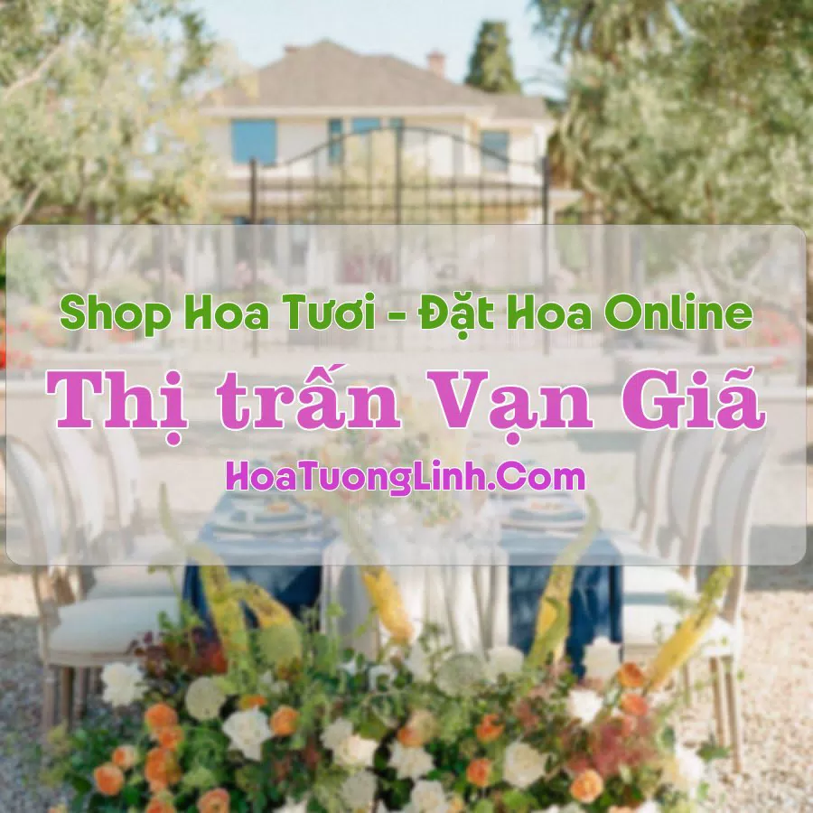 Shop Hoa Tươi Thị trấn Vạn Giã – Khánh Hòa