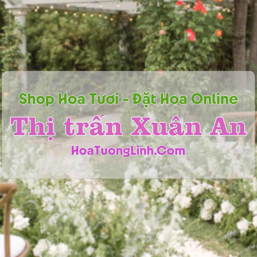 Shop Hoa Tươi Thị trấn Xuân An – Hà Tĩnh