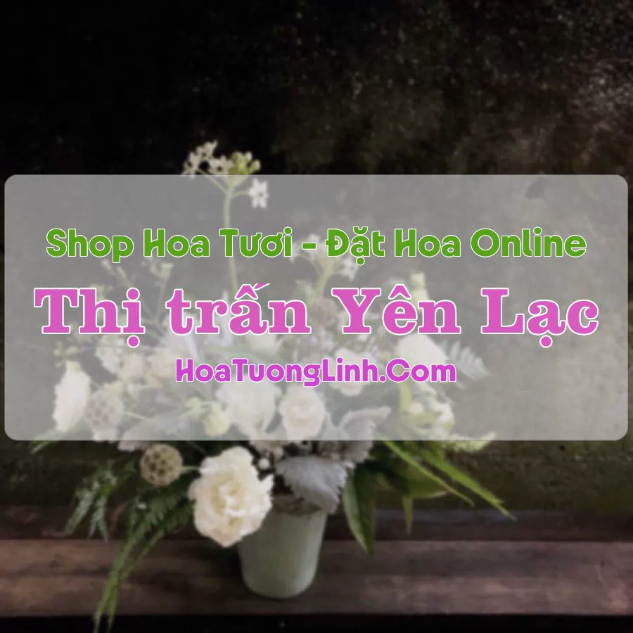 Shop Hoa Tươi Thị Trấn Yên Lạc – Vĩnh Phúc