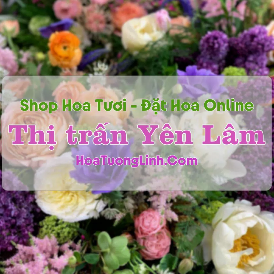 Shop Hoa Tươi Thị Trấn Yên Lâm – Thanh Hóa