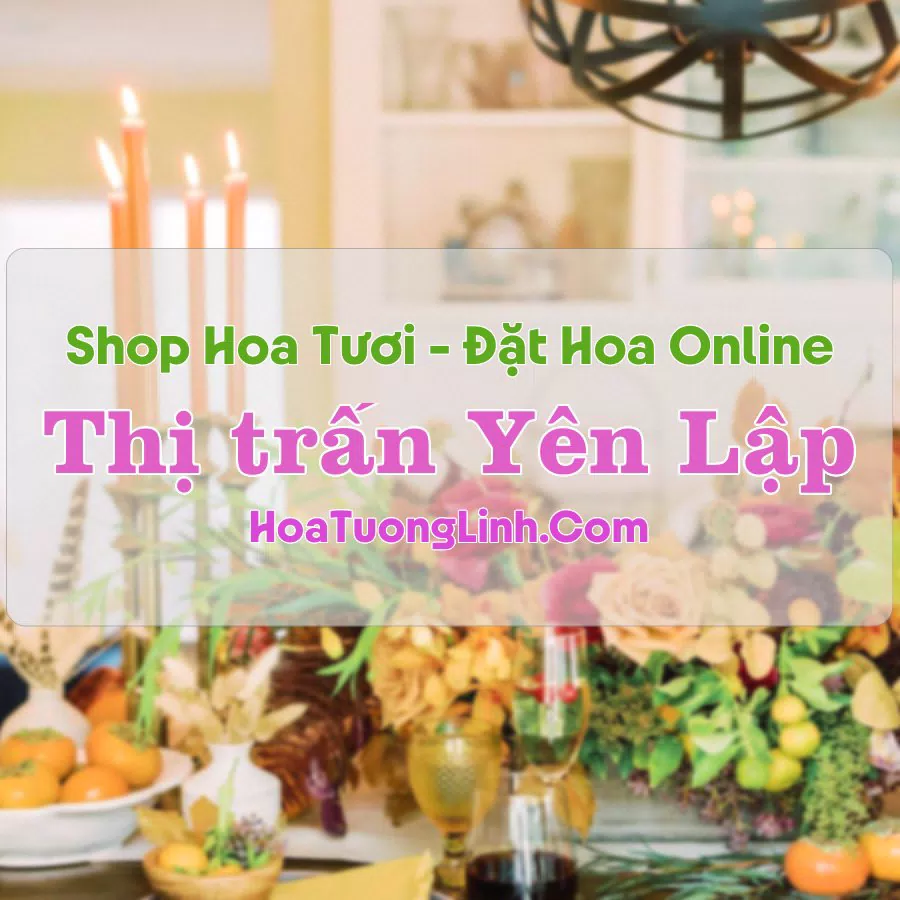 Shop Hoa Tươi Thị Trấn Yên Lập – Phú Thọ