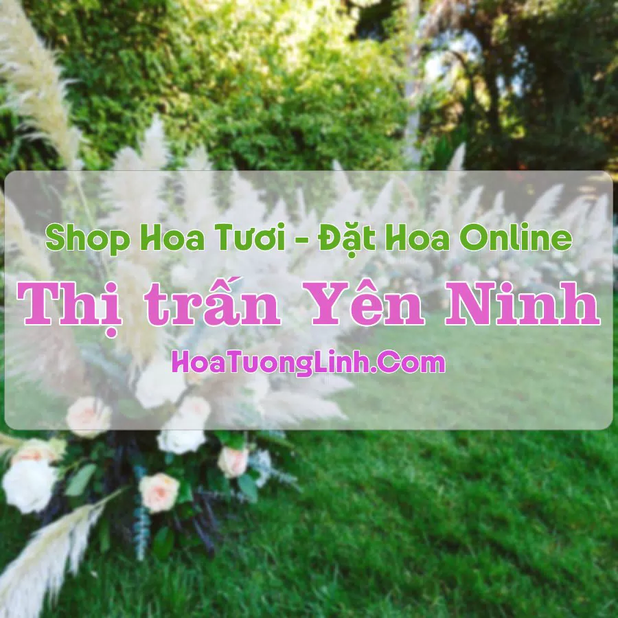 Shop Hoa Tươi Thị Trấn Yên Ninh – Ninh Bình