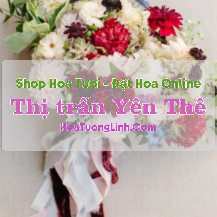 Shop Hoa Tươi Thị Trấn Yên Thế – Yên Bái