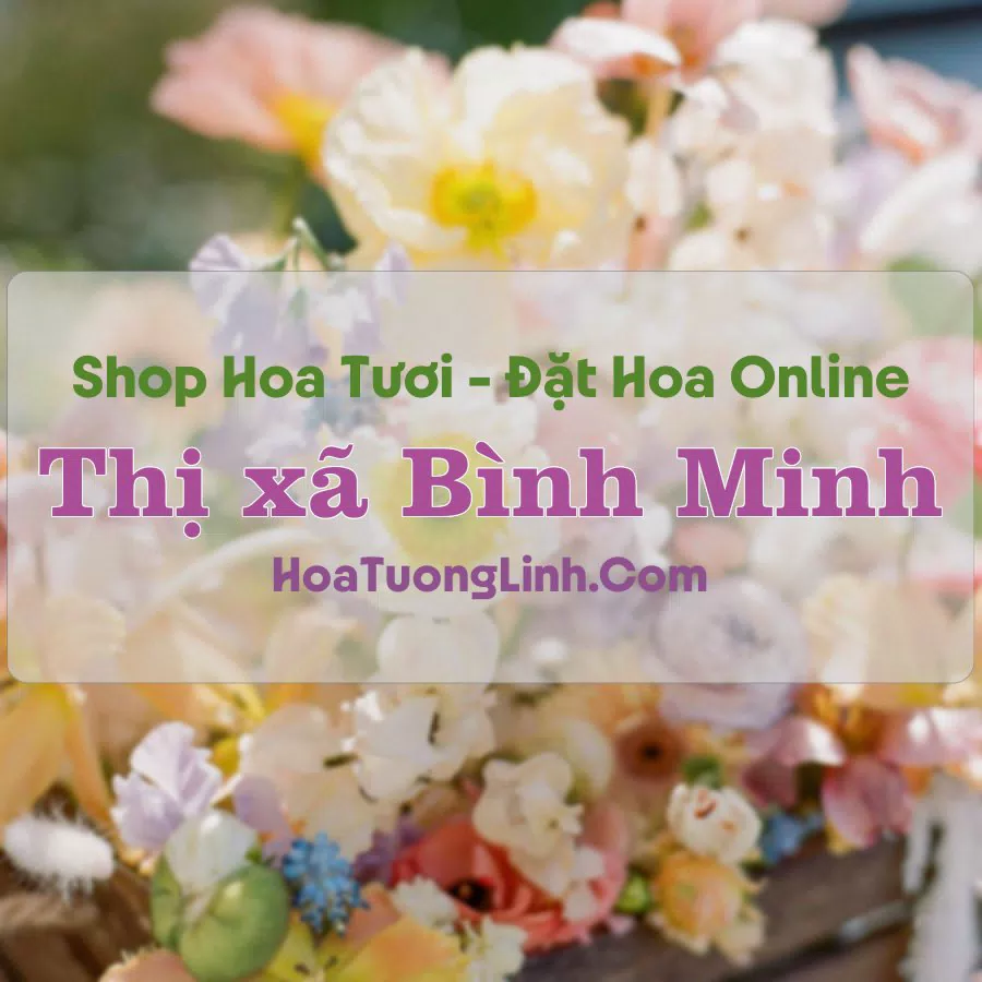 Shop Hoa Tươi Thị xã Bình Minh – Vĩnh Long