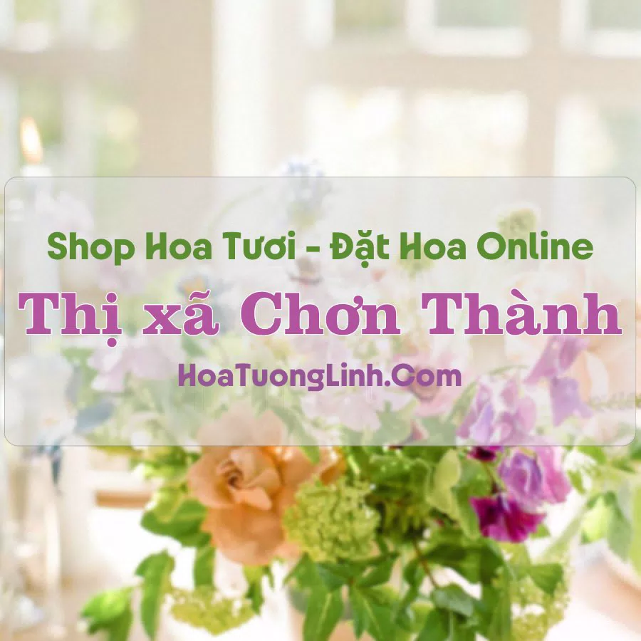 Shop Hoa Tươi Thị xã Chơn Thành – Bình Phước